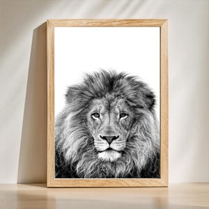 Schwarz-weißes Löwenjunges Leinwand Poster – Safari Tierporträt Druck – Moderne Wildtier Wandkunst für Wohnzimmer, Kinderzimmer & Büro