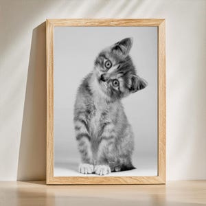 Kätzchen Leinwand Poster – Süße Katze Wandkunst Print – Liebevolles Katzenposter – Schwarz-weißes Tierporträt für Wohnzimmer