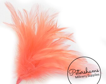 coral colored feathers