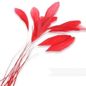 Loose Stripped Coque Feathers (Pack of 10) for Millinery & Fascinators - Red