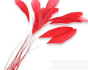 Loose Stripped Coque Feathers (Pack of 10) for Millinery & Fascinators - Red