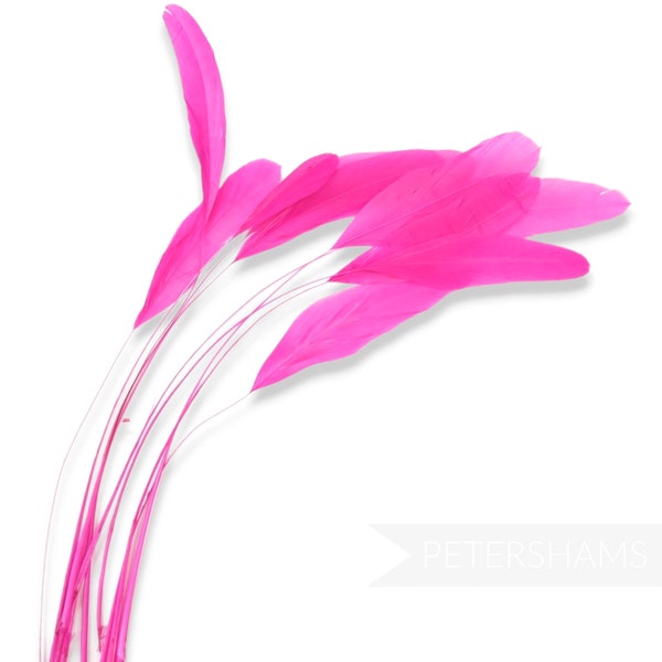 Loose Stripped Coque Feathers (Pack of 10) for Millinery & Fascinators - Neon Pink