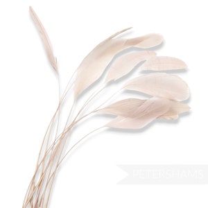 Losse gestripte coqueveren (10 stuks) voor modevak en fascinators - roze
