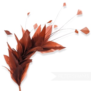 May include: A rust-colored feather spray with long, thin feathers and a cluster of shorter, wider feathers. The feathers are arranged in a fan shape.