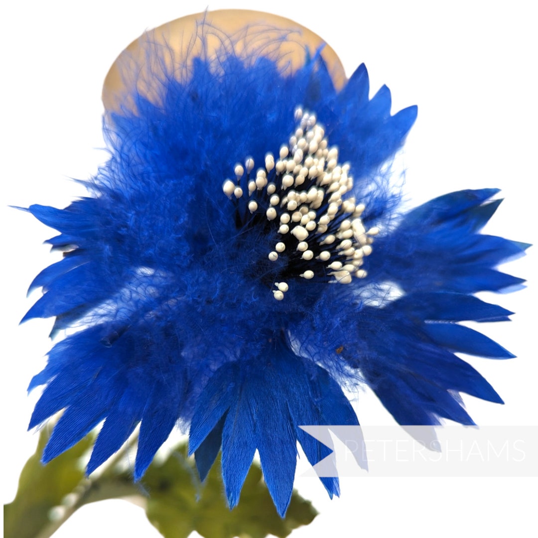 Vintage 1940/50's German Long Stem Millinery Feather Flowers for Hat