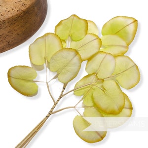 Vintage 1940/50&#39;s&#39; Flora&#39; German Wired Violet Leaf Stems - 5 Stems - For Millinery and Hat Making - Lemon Lime Silk