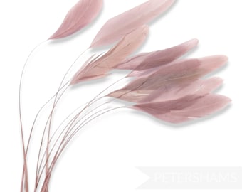 Loose Stripped Coque Feathers (Pack of 10) for Millinery & Fascinators - Dusky Pink
