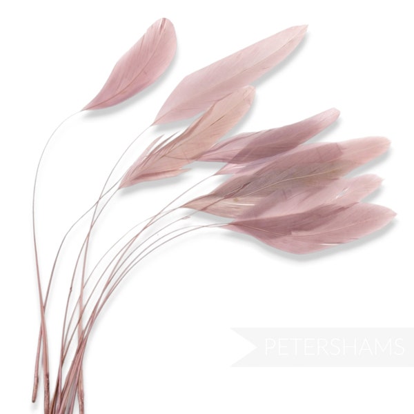 Loose Stripped Coque Feathers (Pack of 10) for Millinery & Fascinators - Dusky Pink