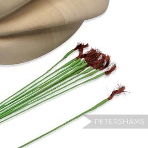 May include: A collection of green stems with brown, frayed ends. The stems are thin and appear to be wrapped in green paper. The word "PETERSHAMS" is printed in gray on the lower right corner. A light-colored, curved wooden object is in the upper left corner.