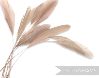 Latte Loose Stripped Coque Feathers for Millinery & Fascinators (Pack of 10)