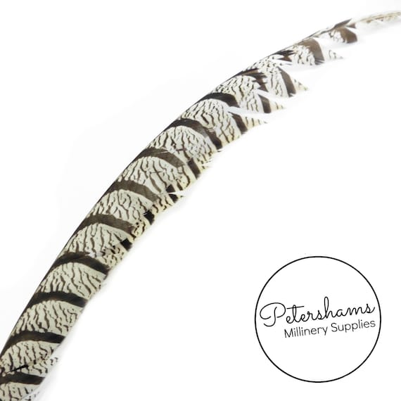 65-70cm Super Big Lady Amherst Pheasant Center Tail Feather for Millinery