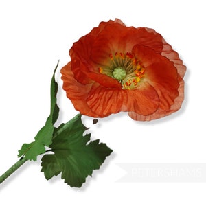 May include: A single orange poppy flower with a green center and leaves. The flower is on a white background.