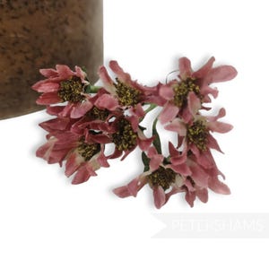 Mini &#39;Deborah&#39; Silk Blossom Wired Flowers - 12 stems - Deep Mauve