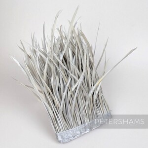May include: A bundle of light gray feathers, tightly bound at the base with a silver ribbon. The feathers are long, slender, and slightly curved, creating a textured, natural appearance. The text "PETERSHAMS" is visible on the ribbon.