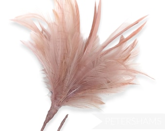 Fluffy Goose Biot & Hackle Feather Hat Mount Trim for Fascinators and Hat Making -  Latte