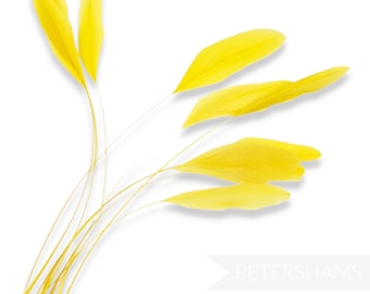 Loose Stripped Coque Feathers (Pack of 10) for Millinery & Fascinators - Yellow