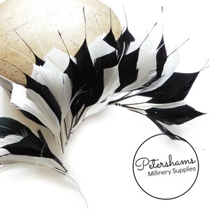 Large Spiky Goose Feather Wired Millinery Hat Mount - Black & Ivory