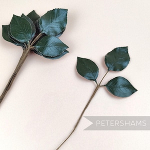 Może przedstawiać: Dwa sztuczne łodygi liści z ciemnozielonymi liśćmi i brązowymi łodygami są wyświetlane na jasnoróżowym tle. Jedna łodyga ma wiele liści, druga ma trzy. Tekst "PETERSHAMS" znajduje się w prawym dolnym rogu.