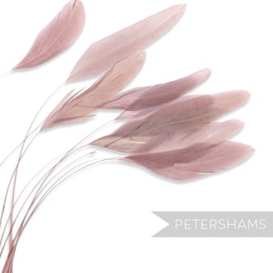 Dusky Pink Loose Stripped Coque Feathers for Millinery & Fascinators (Pack of 10)