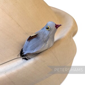 May include: A small, light blue decorative bird with a red beak and yellow eye. The bird has brown and black accents and is perched on a light brown, curved surface. The word "PETERSHAMS" is printed in white.