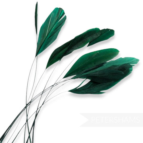 Loose Stripped Coque Feathers (Pack of 10) for Millinery & Fascinators - Bottle Green