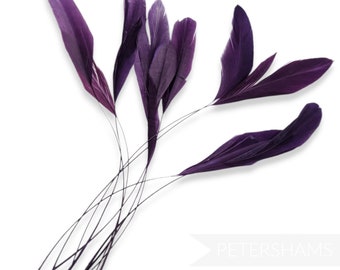 Lockige gestreifte Coque Federn (10er Pack) für Hutmacherei & Fascinator - Plum