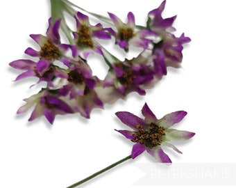 Mini 'Deborah' Silk Blossom Wired Flowers - 12 stems - Light Purple