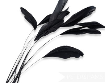 Loose Stripped Coque Feathers (Pack of 10) for Millinery & Fascinators - Black