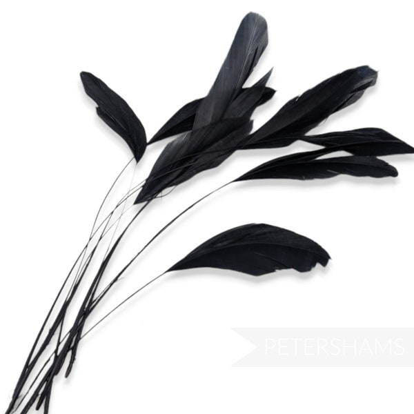 Loose Stripped Coque Feathers (Pack of 10) for Millinery & Fascinators - Black