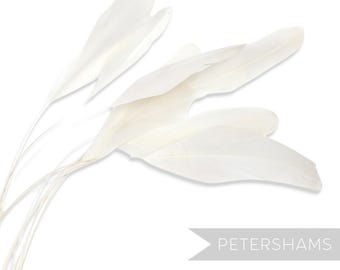 Ivory Loose Stripped Coque Feathers for Millinery & Fascinators (Pack of 10)