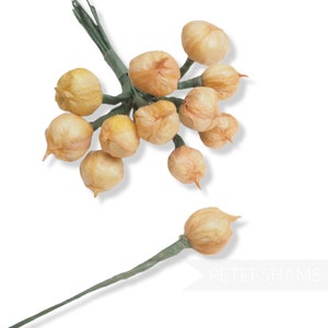 Vintage &#39;Chelsea&#39; Miniature Onions - 12 Stems for Millinery and Hat Making