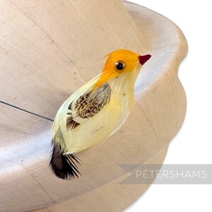 May include: A decorative bird with yellow, white, and brown feathers, a red beak, and a yellow head. The bird is perched on a light-colored wooden surface. The bird has a wire attached to it. The word "PETERSHAMS" is in the bottom right corner.