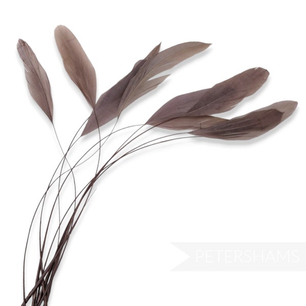 Loose Stripped Coque Feathers (Pack of 10) for Millinery & Fascinators - Mink
