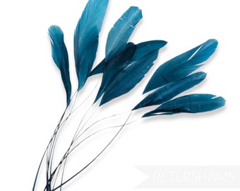 Loose Stripped Coque Feathers (Pack of 10) for Millinery & Fascinators - Teal