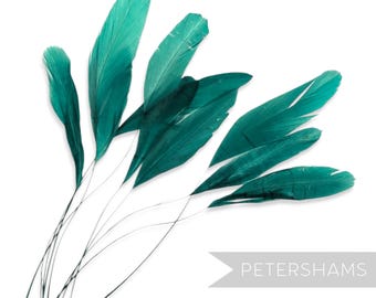 Teal Green Loose Stripped Coque Feathers for Millinery & Fascinators (Pack of 10)