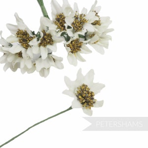 Mini &#39;Deborah&#39; Silk Blossom Wired Flowers - 12 stems - Ivory