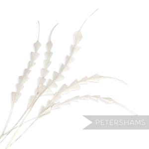 Ivory Zig Zag Coque Feather for Millinery & Fascinators - Pack of 5