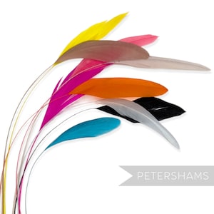 帽子やファシネーター用のバラバラの剥ぎ取り済みコックフェザー（10枚入り）