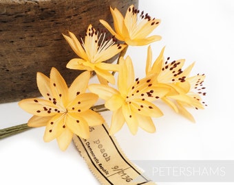 Vintage 1950's 'Isabella' Edelweiß Seidenblume Hutseinfassung für Fascinators und Hutherstellung - lebendiges Pfirsich