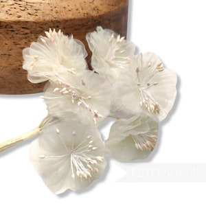 6 Organza Blossom &#39;Beatriz&#39; Silk Flowers - For Fascinators, Millinery and Hat Making - Cream