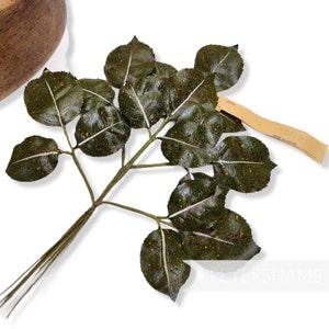 Vintage 1940/50&#39;s &#39;Elowen&#39; Splatter Effect German Wired Rose Leaf Stems - 6 Stems - For Millinery and Hat Making