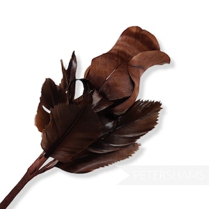 May include: A single brown feather rose with a stem. The rose is made of feathers and has a realistic appearance.