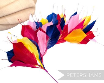 Rainbow Large Spiky Goose Feather Wired Millinery Hat Mount
