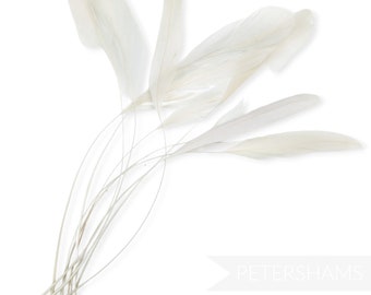 Loose Stripped Coque Feathers (Pack of 10) for Millinery & Fascinators - Pale Sage