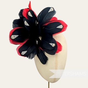 Large Goose Nagorie & French Partridge Feather Hat Mount for Hat Making and Millinery