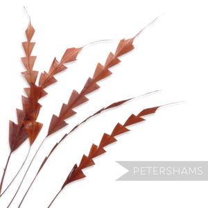 Rust Zig Zag Coque Feather for Millinery & Fascinators - Pack of 5