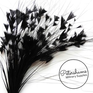 Triangle Tipped Stripped Coque & Burnt Peacock Feather Wired Millinery Hat Mount - Black