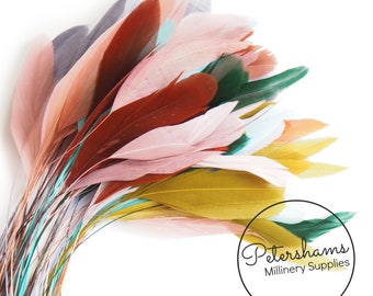 Loose Stripped Coque Feathers (Pack of 10) for Millinery & Fascinators - Assorted Mix