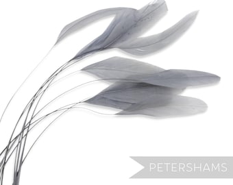 Dark Grey Loose Stripped Coque Feathers for Millinery & Fascinators (Pack of 10)