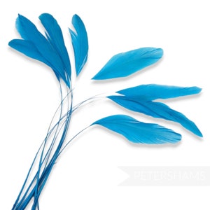 Loose Stripped Coque Feathers (Pack of 10) for Millinery & Fascinators - Turquoise